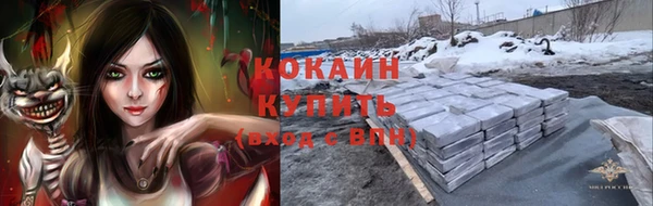 соль ск Елизово